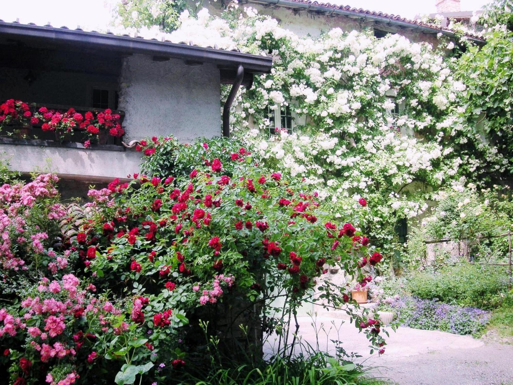 La Traversina Stazzano Exterior photo